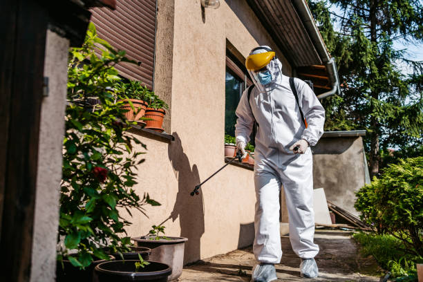 Best Ant Control Services  in Golden Hills, CA