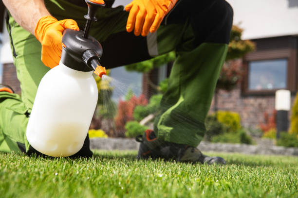 Best Best Pest Control Companies  in Golden Hills, CA