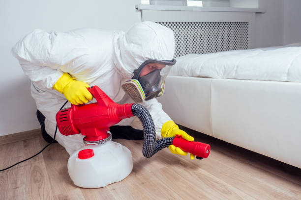 Wasp Removal Services in Golden Hills, CA