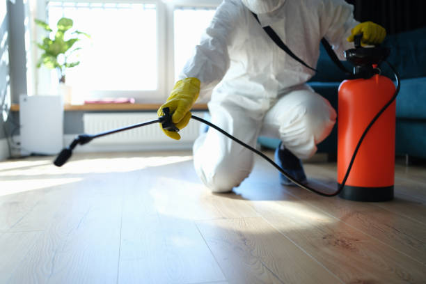Best Rat Extermination Near Me  in Golden Hills, CA