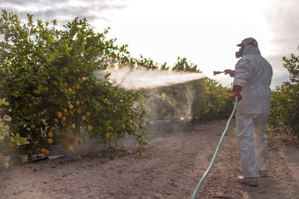 Best Insect Control  in Golden Hills, CA