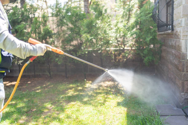  Golden Hills, CA Pest Control Pros