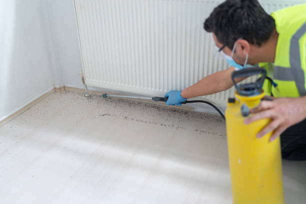 Best Best Pest Control Companies  in Golden Hills, CA