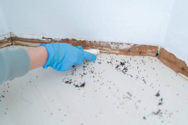 Best Exterminator Services  in Golden Hills, CA
